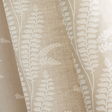 Ensbury Fern from Bristol Collection