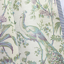 Peacock Toile from Bristol Collection
