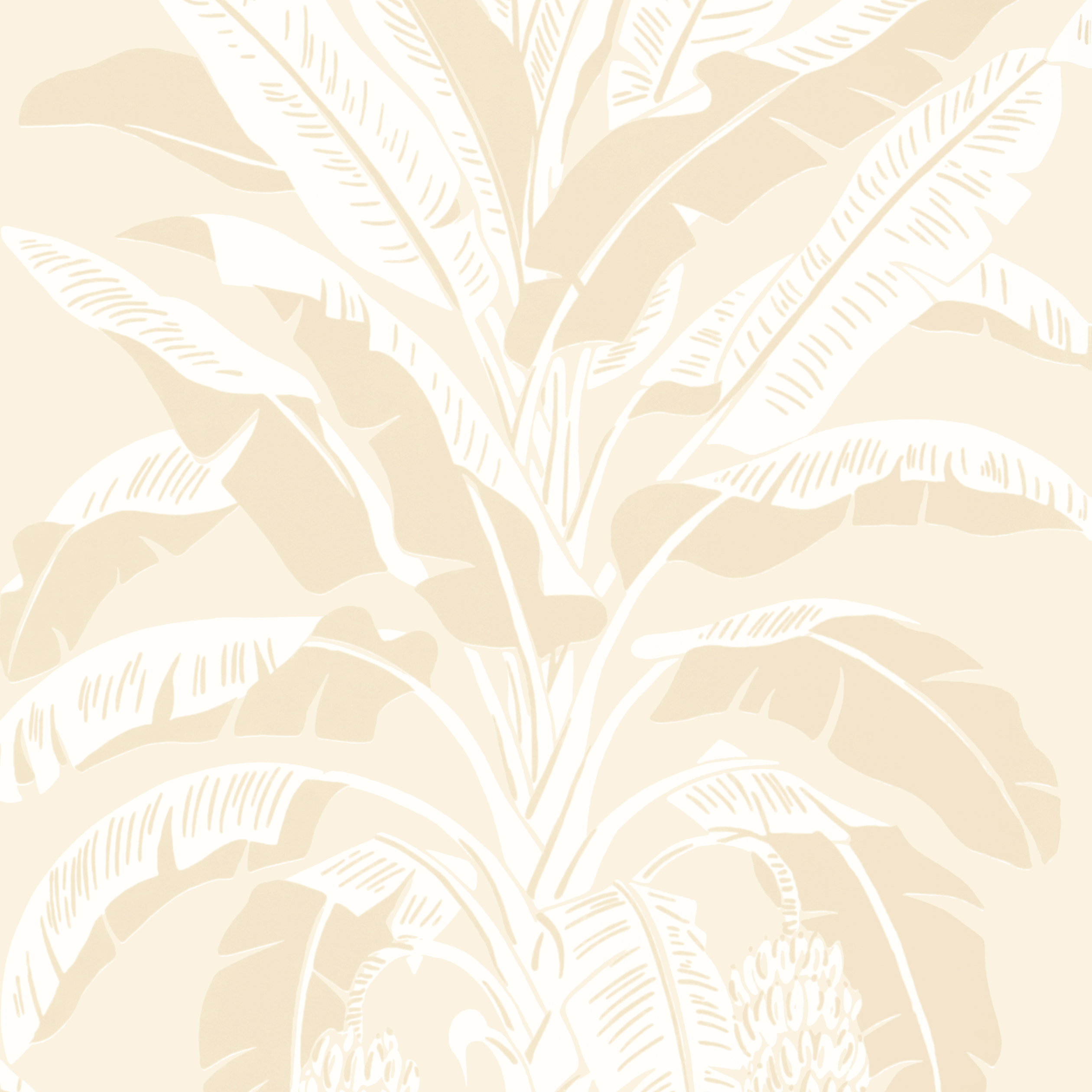 T13920 BANANA TREE Wallpaper Beige from the Thibaut Palm