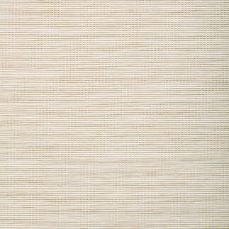 ANDERSON, Beige, T428, Collection Modern Resource from Thibaut