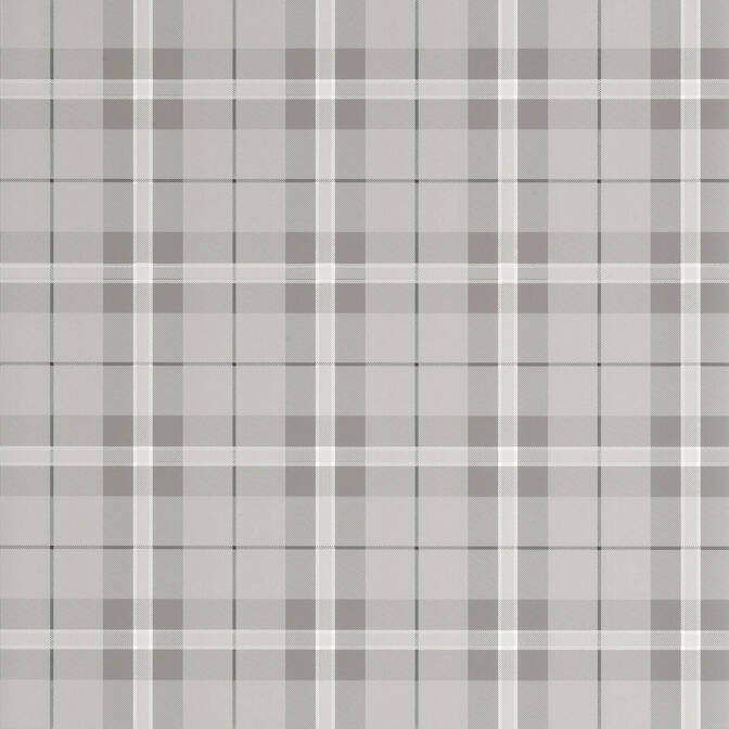 WINSLOW PLAID, Grey, T1027, Collection Menswear Resource from Thibaut