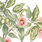 Product image for product CAMELLIA GARDEN                         