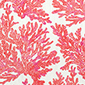 Product image for product MARINE CORAL                            