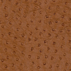 Ostrich Leather 22 Pattern